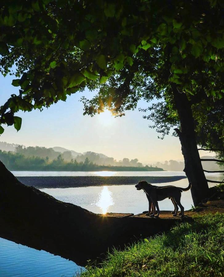 Drinska Laguna Banja Koviljača Exterior foto